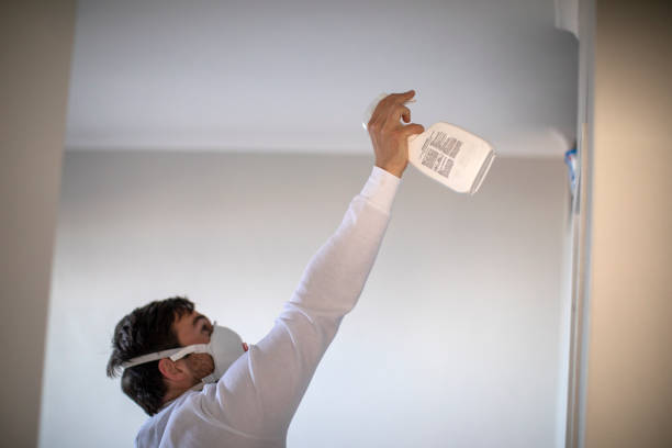 Best Best Mold Removal Companies  in Metzger, OR