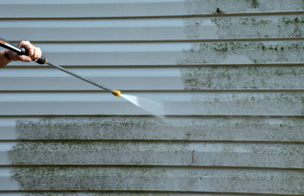 Mold Testing and Removal in Metzger, OR