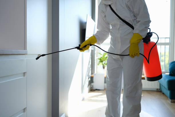 Best Office Mold Removal Services  in Metzger, OR