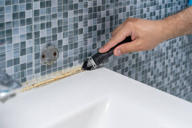 Best Toxic Mold Removal  in Metzger, OR